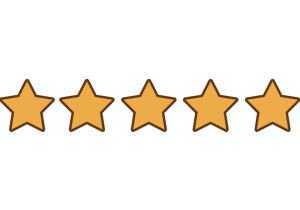 Five Star Google Review